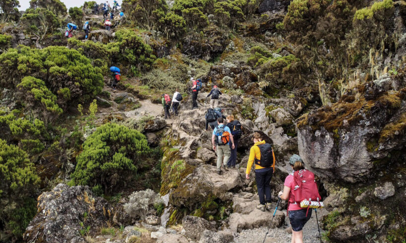 Kilimanjaro climb cost